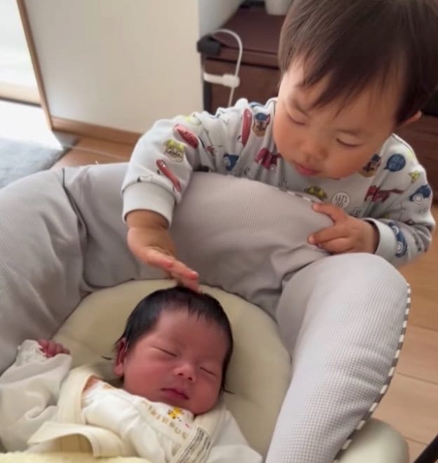 提供：＠zen_pokoさん