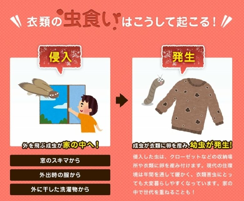 虫食いが起こる理由（提供：エステー株式会社）