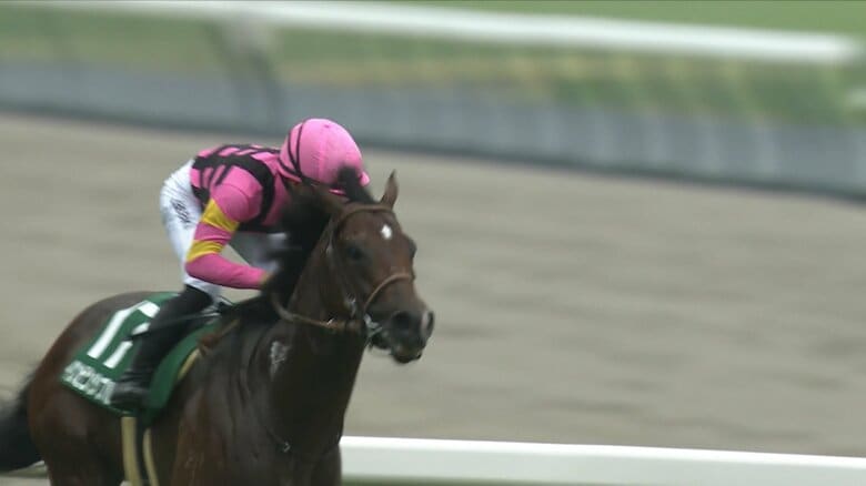 2025年 CBC賞を制したインビンシブルパパ