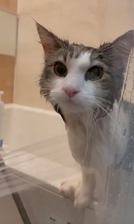 顔にお湯がかかってもへっちゃら！