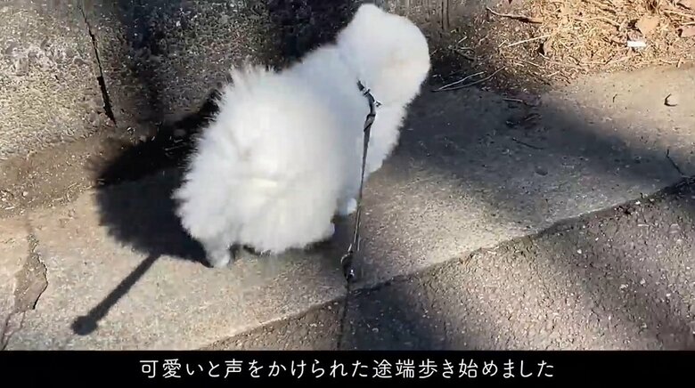 「かわいい」と声を掛けられたのか