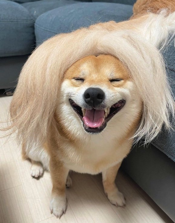 提供：うにandおからさん