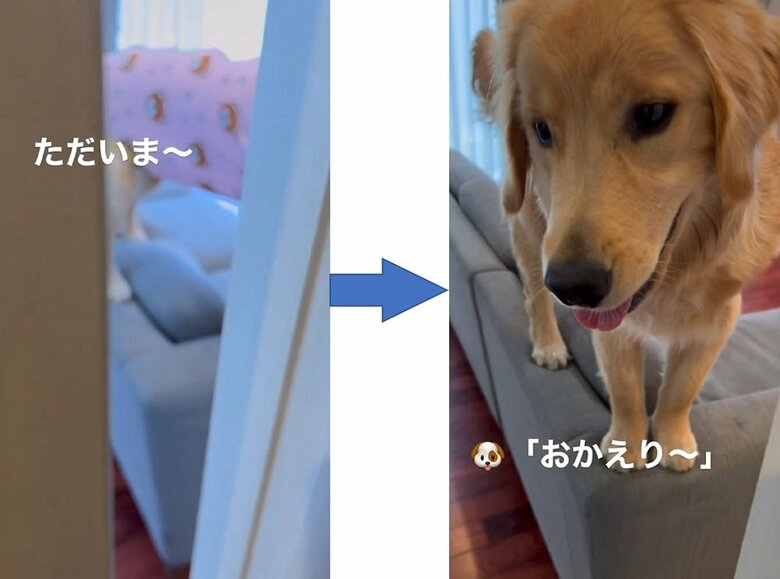 扉を開けると目の前にサンちゃんが！