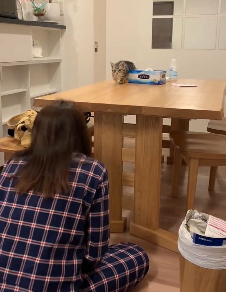 飼い主さんが隠れると動く