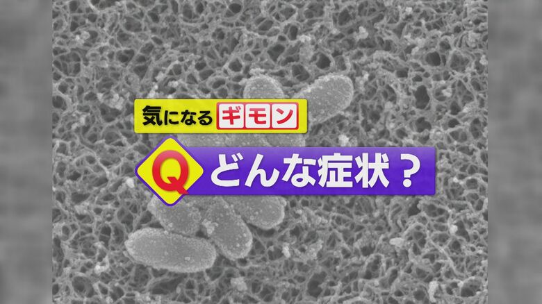 「百日咳」とは