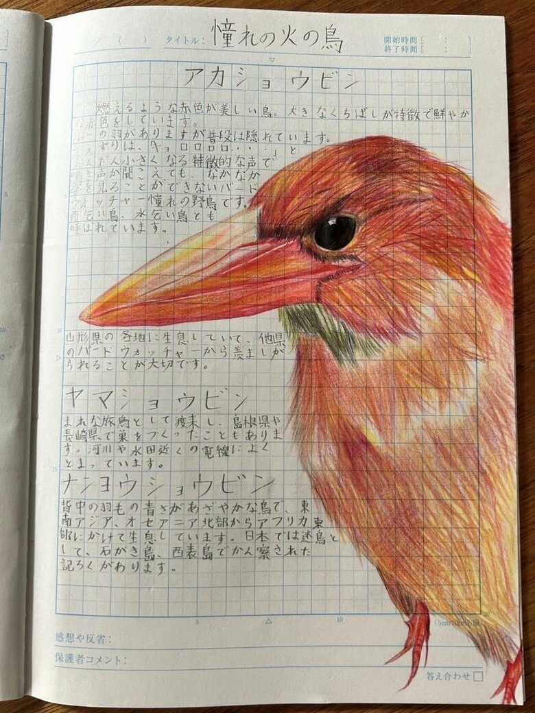 アカショウビン（前回の取材時以降の作品）