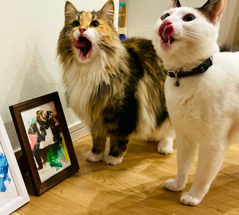 ダブルぺろり（提供：つくね＆ひまりさん）