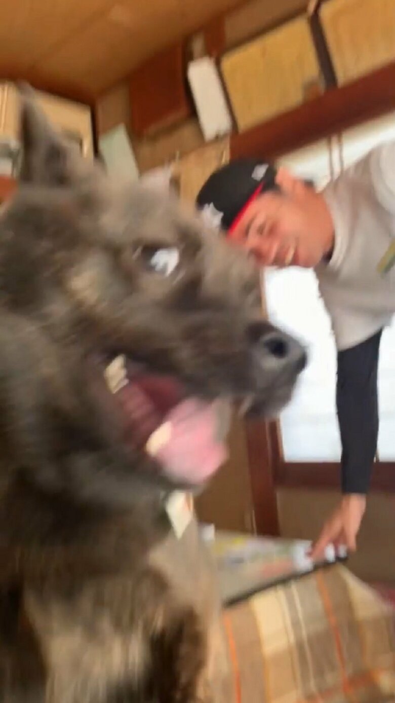 ドライブに行くことになり、テンションが上がっているななちゃん