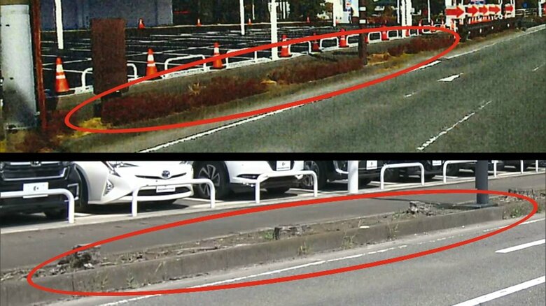 店舗前の植え込み（上段：2021年3月／下段：2023年7月／提供：富士土木事務所）