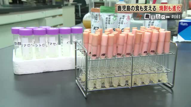 2000年に発見されたバナナのような香りの酵母は全国的な人気のフレーバー焼酎のきっかけに