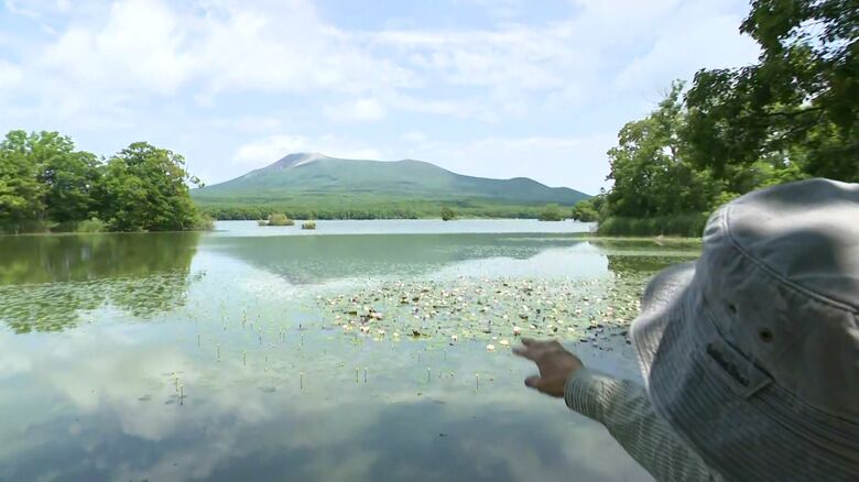 ふと顔を上げると…