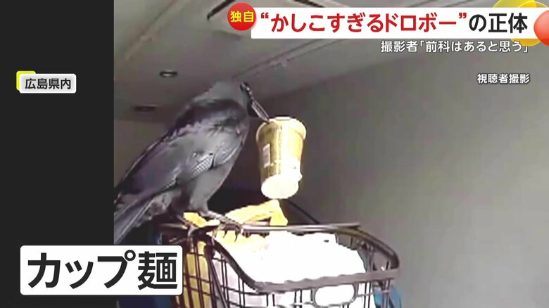 黄色い袋へ顔を突っ込みカップ麺を取り出した大きなカラス