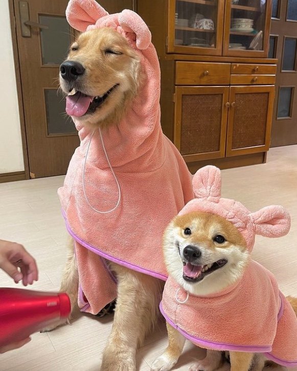 提供：うにandおからさん