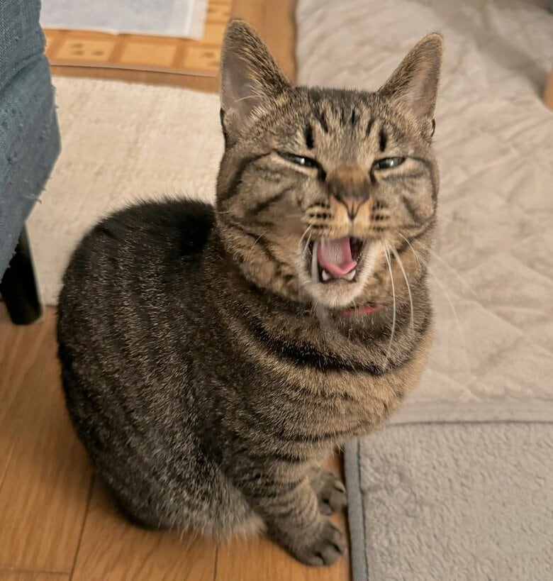 あくび