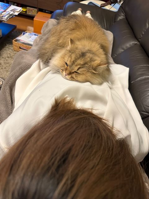 提供：ひなたさん