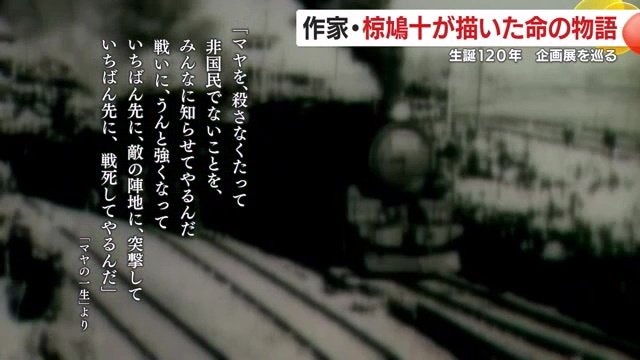 マヤを守りたい一心で、子どもが放った言葉（「マヤの一生」より）