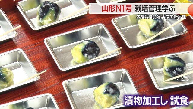 シャキシャキのナス漬け、その歯ごたえ・お味をぜひ味わってみてほしい