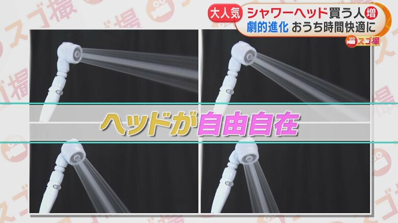 アラミック「3Dアースシャワーヘッドスパ」（7678円）