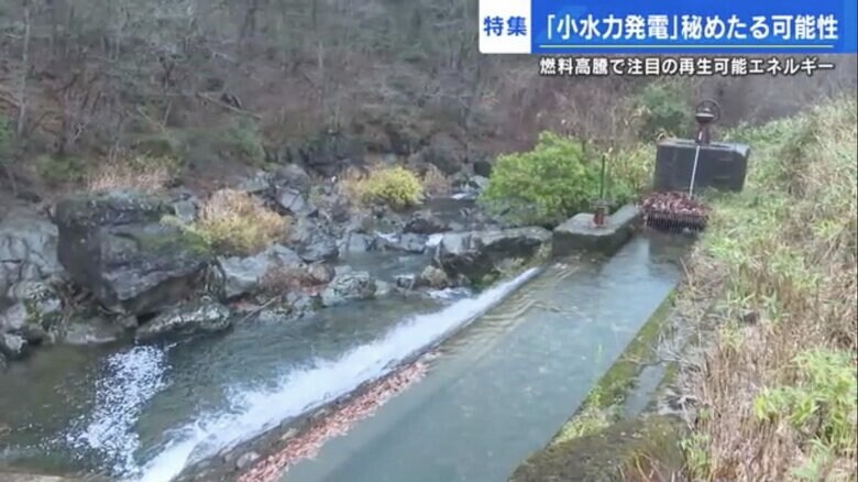 山間を流れる道後川が永金発電所の水源