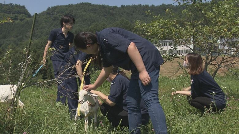 従業員たちの癒やしの存在にも