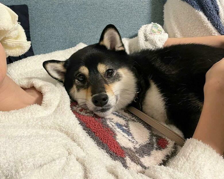 提供：まめふく&ゆめくりさん