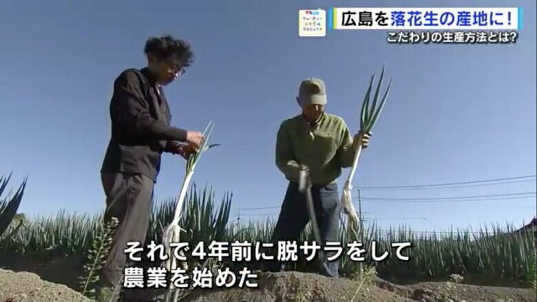 ネギを育てる父・脇伸男さん（右）