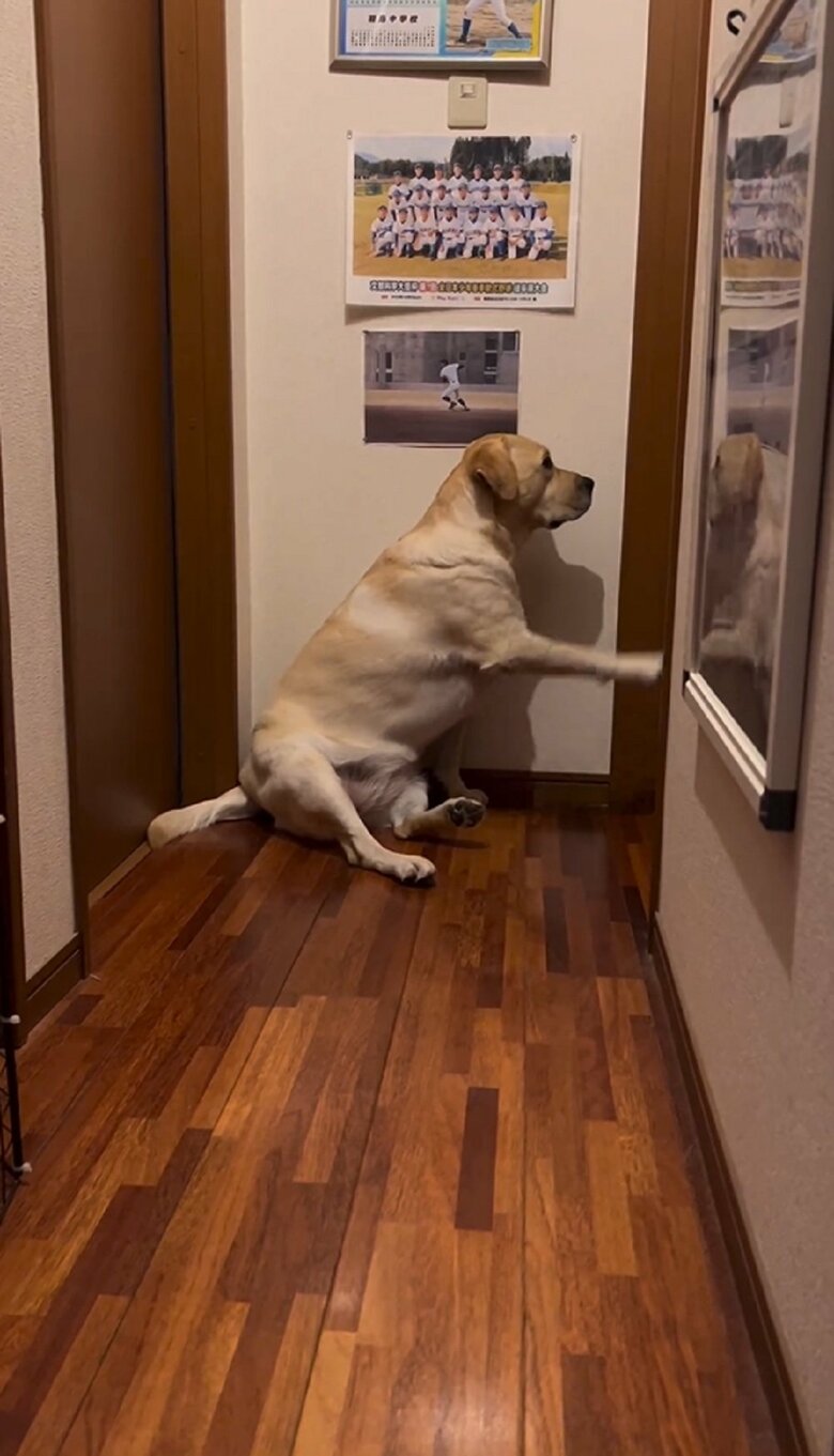 反応がなかったのか再びノック