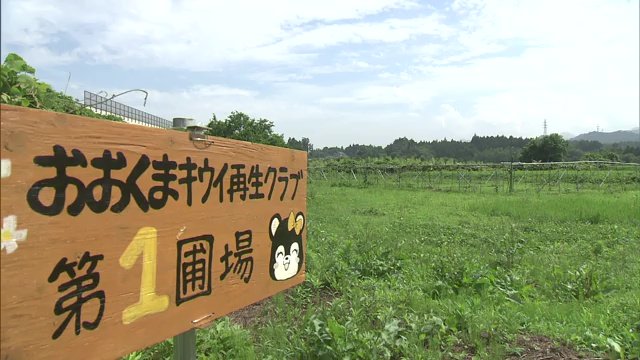 地元農家の力も借りながら３年後の収穫を目指す