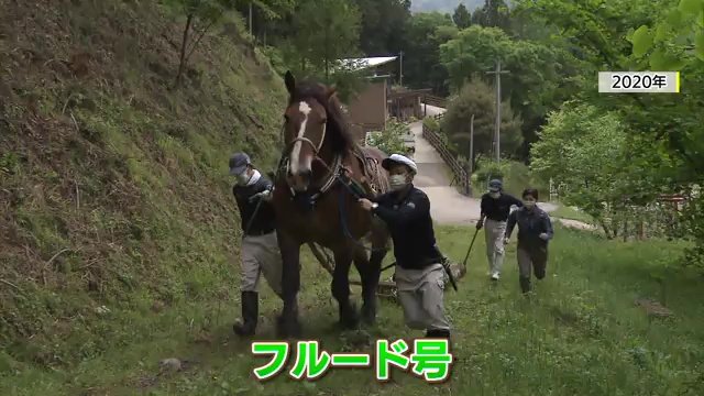 相棒のフルード号（2020年撮影）