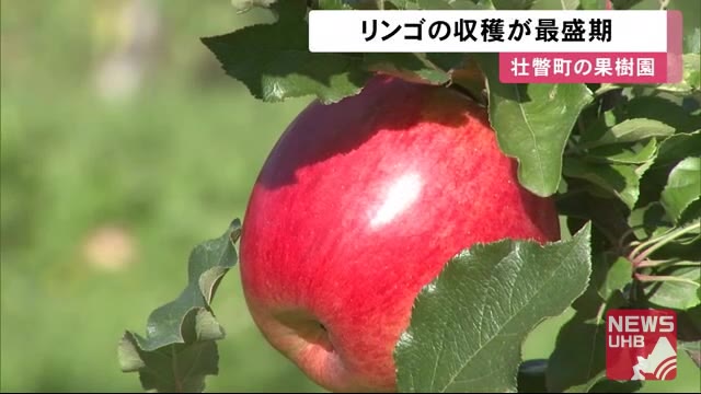実りの秋!