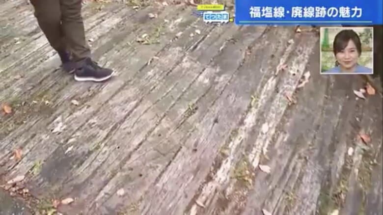 遊歩道には使われなくなった線路の枕木が敷かれている