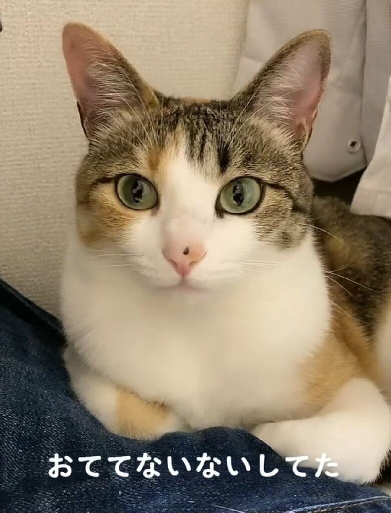 ちぃちゃん