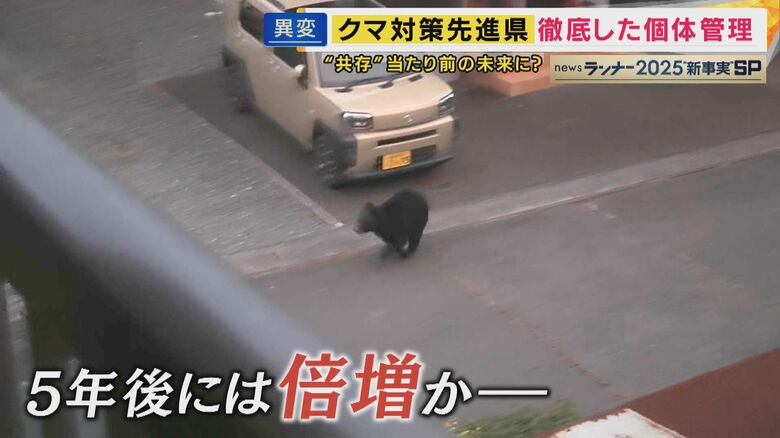 住宅地にクマ