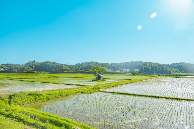 千葉県香取市（2024年5月撮影）