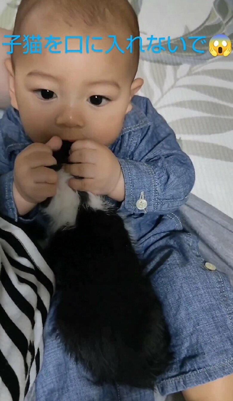 凪くんへチュウしようとする蓮慈くん