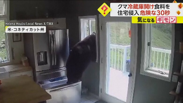 冷蔵庫をあさったあと、窓から外に出るクマ
