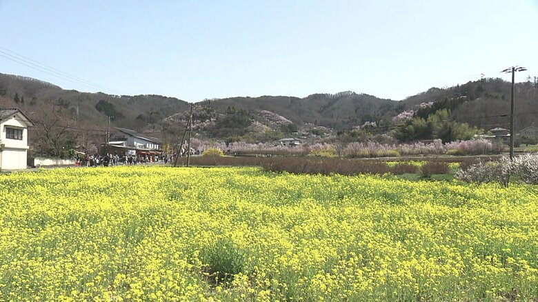 花見山へ向かう道中も美しく