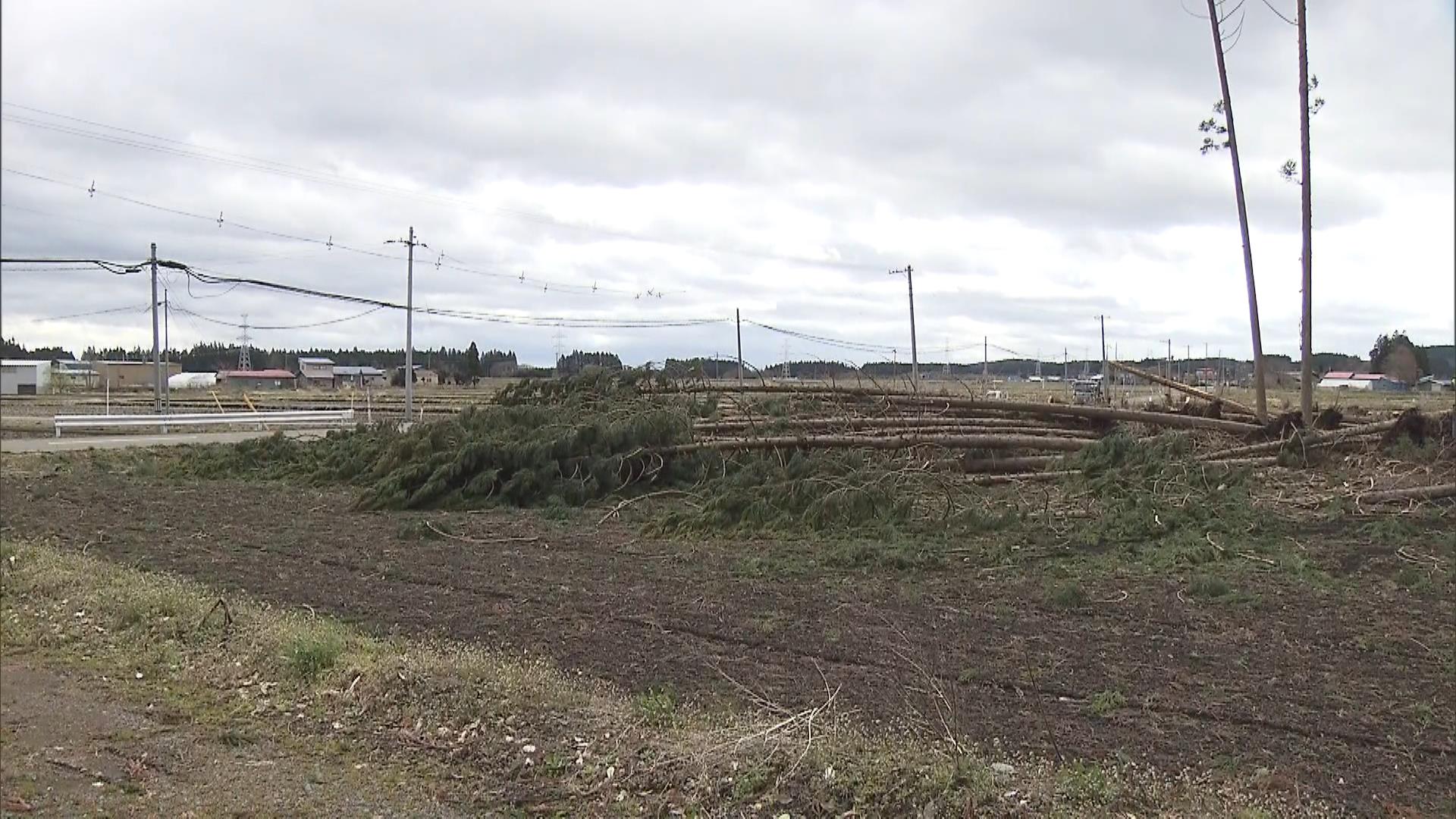 北日本で台風並み暴風　青森・七戸町で倒木相次ぎ一部地域で一時停電が発生　けが人なし
