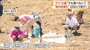 「取れた～！」高級ムラサキウニが海藻食べ尽くす“海の砂漠化”懸念…約250人が780kg超回収も身は小さく肥料へ　神奈川・逗子市