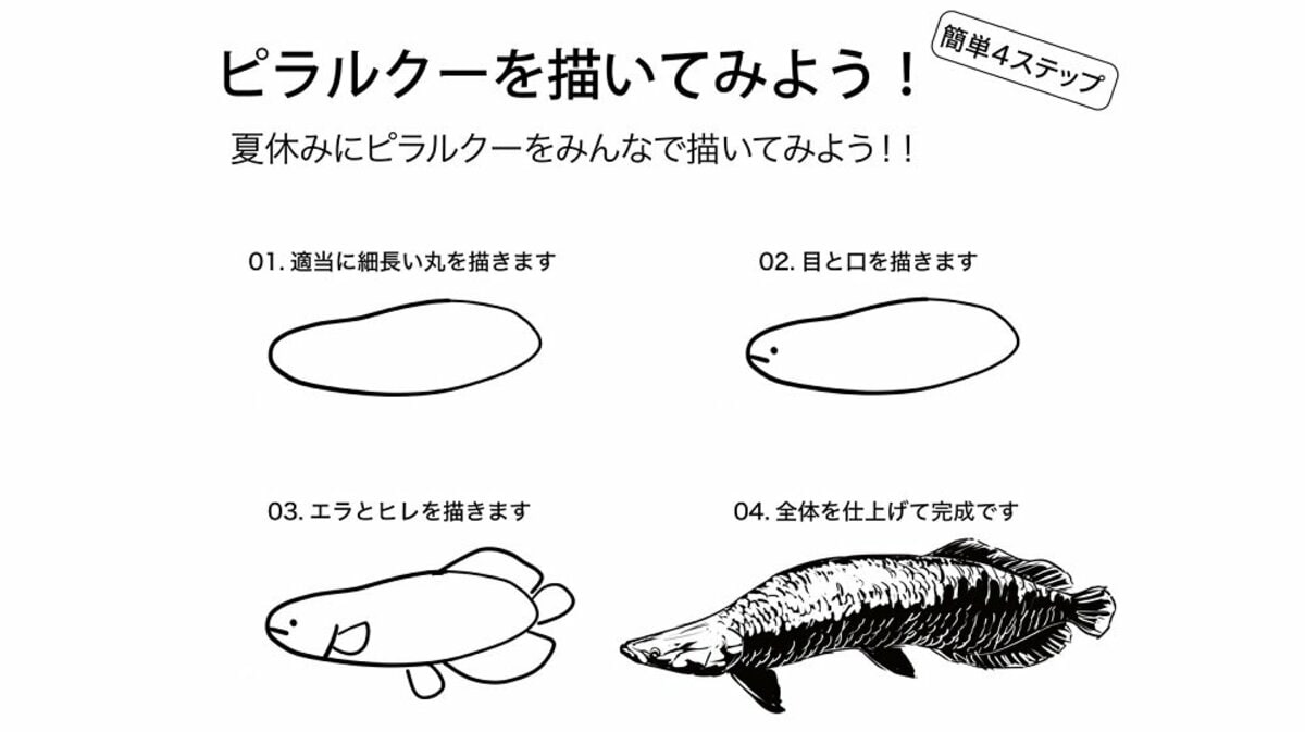 そうはならんやろwww」“ピラルクーの描き方”を水族館が簡単4ステップで紹介？最後の難易度の高さにツッコミ殺到｜FNNプライムオンライン