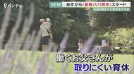 「産後パパ育休」は育児参加の起爆剤となるか…“取得率”100％の「積水ハウス」では働き方が改善も