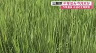 水稲の生育は「平年並みで順調」 宮城県が今季最後の調査を実施 出穂期は７月末と予測