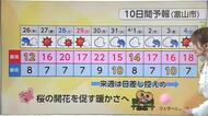 「催花雨」が明けたら最高気温20度　富山、週末は上着いらずの春本番へ