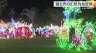 光で描く南国の海と花 東南植物楽園のイルミネーション