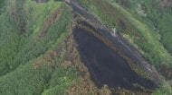 岩手・大槌町山林火災 「樹冠火」で延焼拡大か　林野庁が調査結果公表