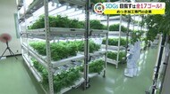 SDGsの目標17すべてに取り組む 福井市「清川メッキ」の挑戦【福井】