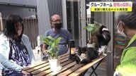 「元気のない人を励ます」“ペット共生”のグループホーム　保護犬・猫が安らぎ生み…障害者の自立支援【福井発】