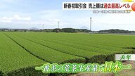 「お茶もまだまだ伸びていける」鹿児島茶の勢い止まらず！　新春初取引会で平均単価が前年の2倍以上、売上額4倍の2000万円超えを記録