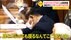 年収1200万円超え! 山梨県議を勝手に観察してみた【しらべてみたら】