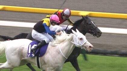 【安田記念】本命は？東京1600ｍでGⅠ馬10頭が激突！超豪華メンバーが飾る東京5週連続ＧⅠのフィナーレ